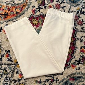 🧚‍♀️j.jill Pull On Pants ***EUC***